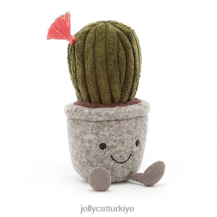 oyuncak Jellycat aptal etli kaktüs çok renkli JNF4L656