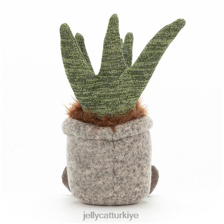 oyuncak Jellycat aptal sulu aloe çok renkli JNF4L46