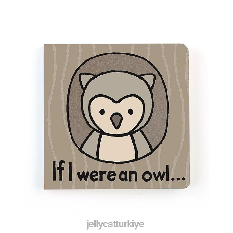 kitap Jellycat bir baykuş olsaydım çok renkli kitap JNF4L699