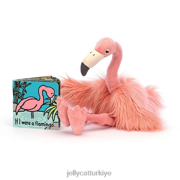 kitap Jellycat bir flamingo kitabı olsaydım ve çok renkli rosario flamingo JNF4L797