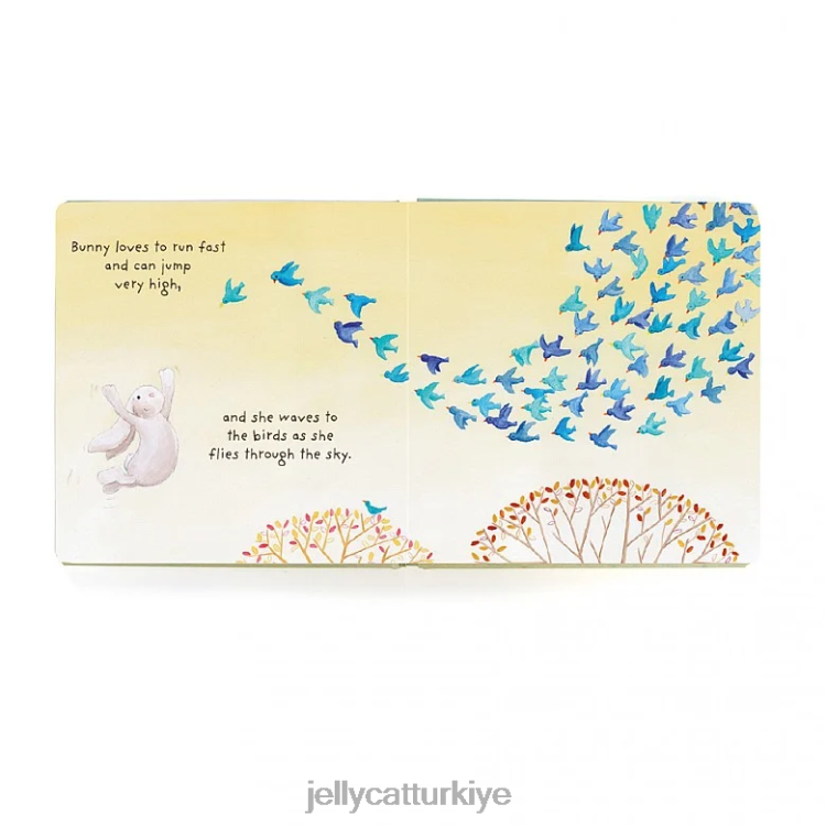 kitap Jellycat arkadaşım tavşan kitabı çok renkli JNF4L682