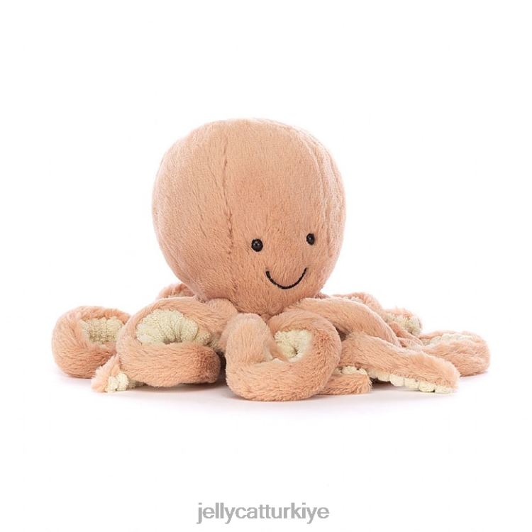 kitap Jellycat korkusuz ahtapot kitabı ve odell ahtapot kayısı JNF4L810