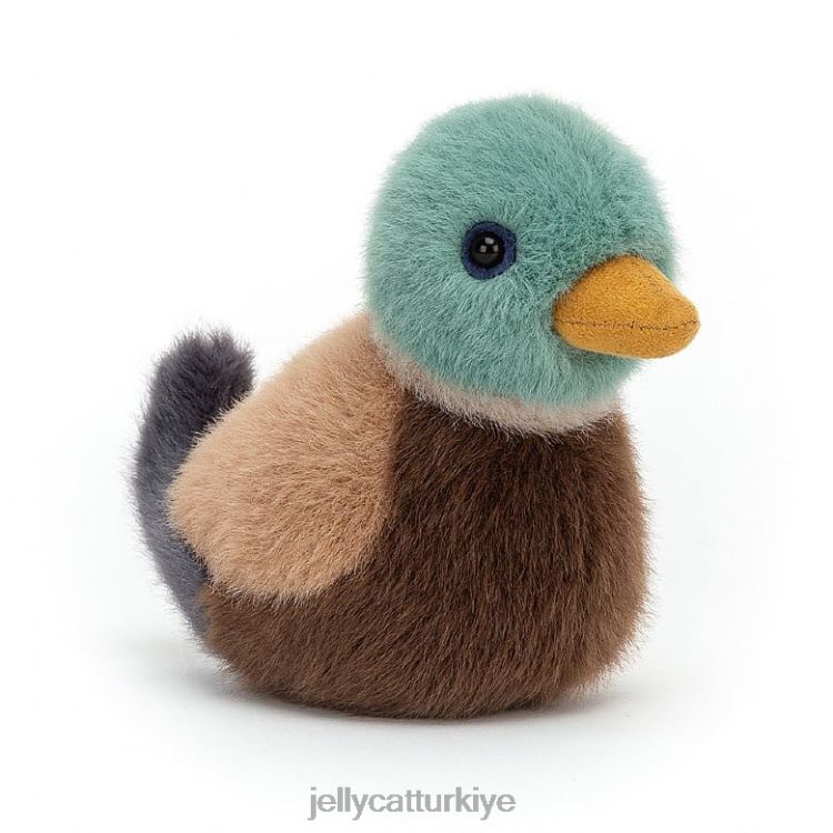 oyuncak Jellycat kuş yavrusu yeşilbaş çok renkli JNF4L45