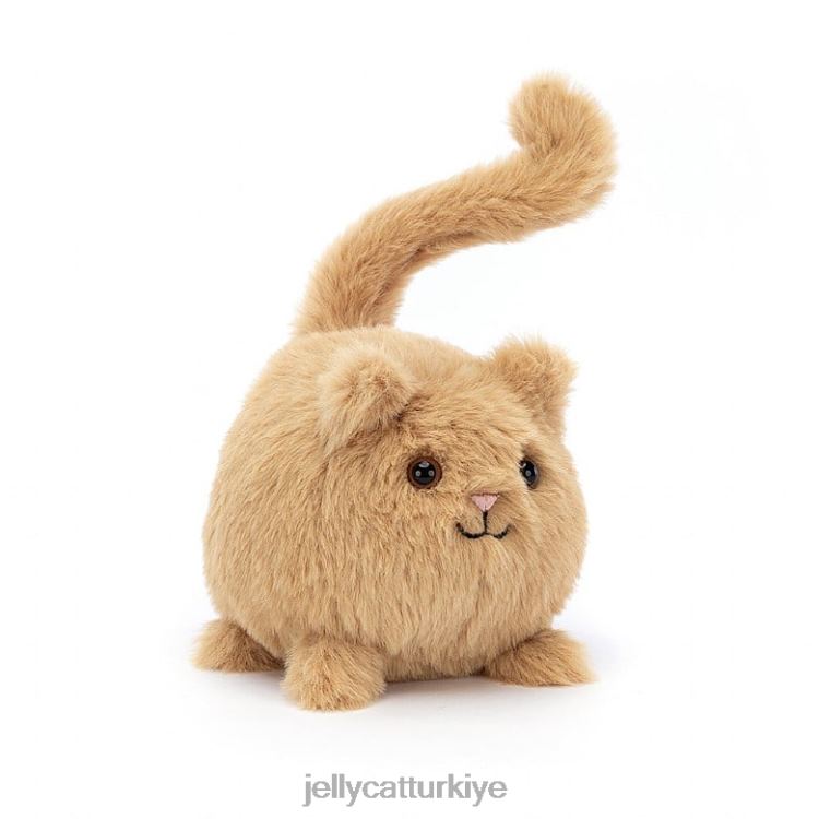 oyuncak Jellycat yavru kedi caboodle zencefil portakal JNF4L418