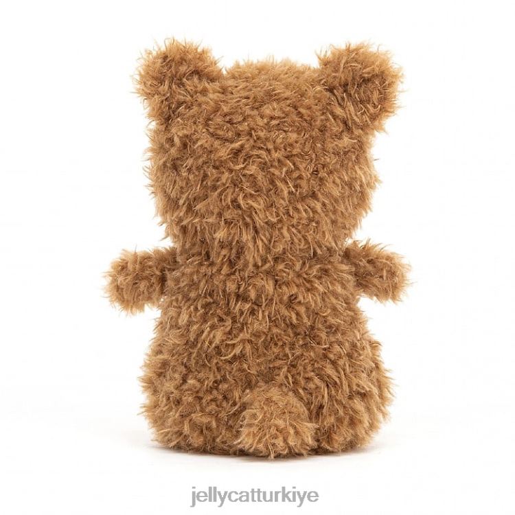 oyuncak Jellycat küçük kaplan çok renkli JNF4L251