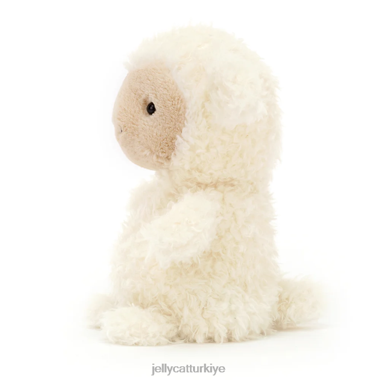oyuncak Jellycat küçük kuzu kreması JNF4L637
