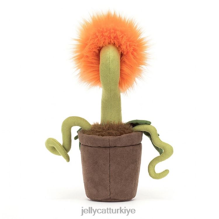 oyuncak Jellycat karniflora priscilla pembe JNF4L363