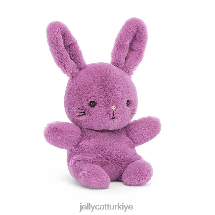 oyuncak Jellycat tatlı tavşan mor JNF4L339