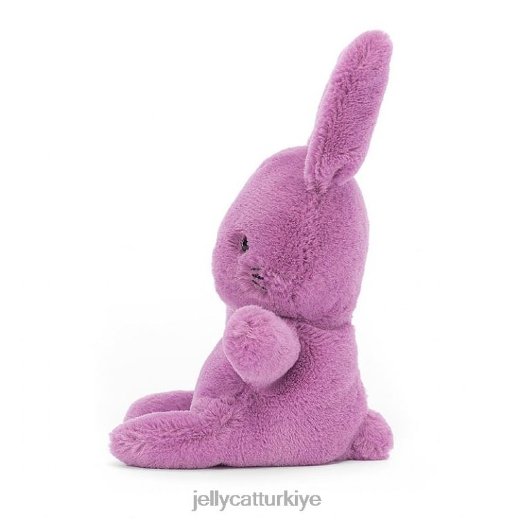 oyuncak Jellycat tatlı tavşan mor JNF4L339