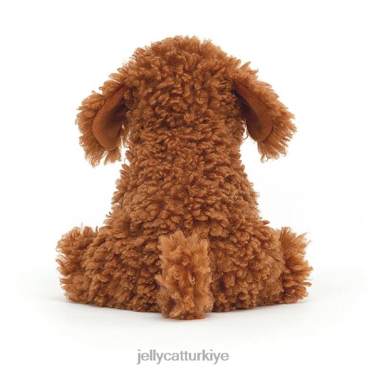 oyuncak Jellycat Cooper doodle köpek bronzluğu JNF4L53