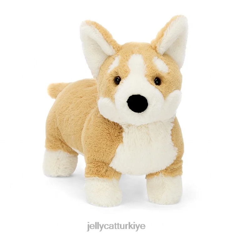 oyuncak Jellycat betty corgi tatlım JNF4L66