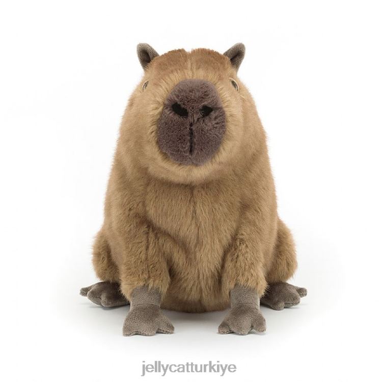 oyuncak Jellycat clyde kapibara kahverengi JNF4L678