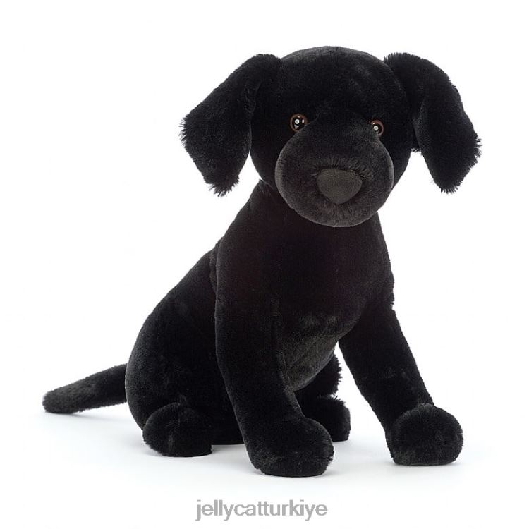 oyuncak Jellycat pippa labrador siyah JNF4L125