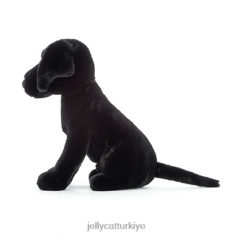 oyuncak Jellycat pippa labrador siyah JNF4L125