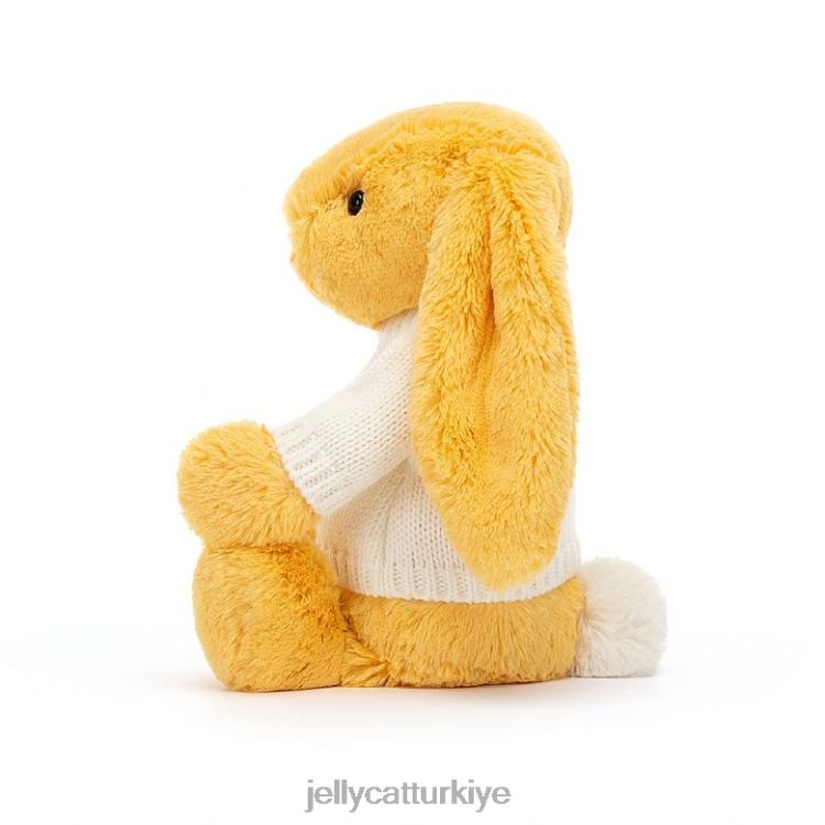 oyuncak Jellycat Kişiye özel krem ​​rengi kazak Sunshine ile utangaç tavşan JNF4L483