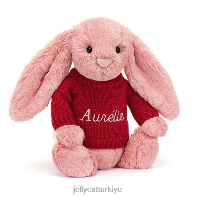 oyuncak Jellycat kişiselleştirilmiş kırmızı kazaklı şerbet pembesi ile utangaç petal tavşan JNF4L299