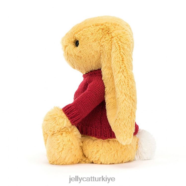 oyuncak Jellycat kişiselleştirilmiş kırmızı kazaklı güneş ışığına sahip utangaç tavşan JNF4L332