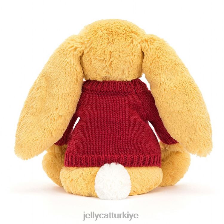 oyuncak Jellycat kişiselleştirilmiş kırmızı kazaklı güneş ışığına sahip utangaç tavşan JNF4L332