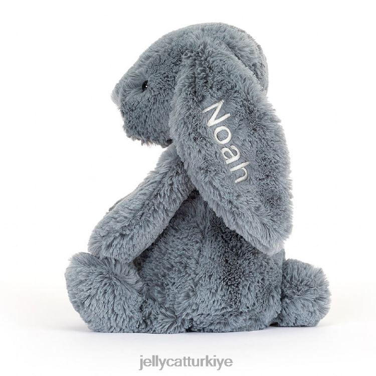 oyuncak Jellycat kişiselleştirilmiş utangaç esmer tavşan orta mavi JNF4L91