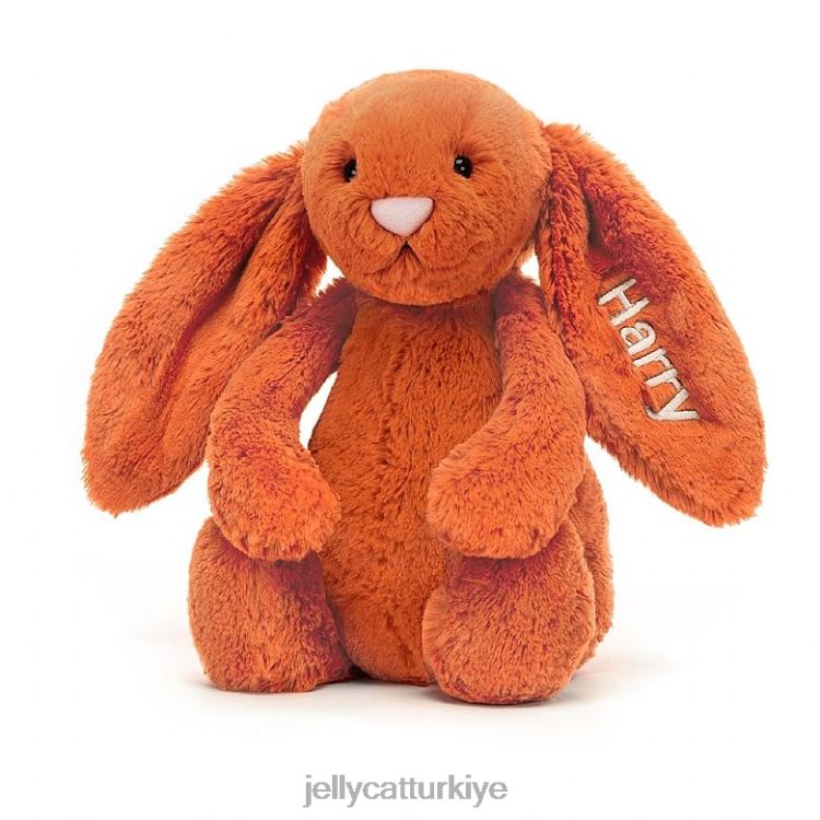 oyuncak Jellycat kişiselleştirilmiş utangaç mandalina tavşanı orta turuncu JNF4L502