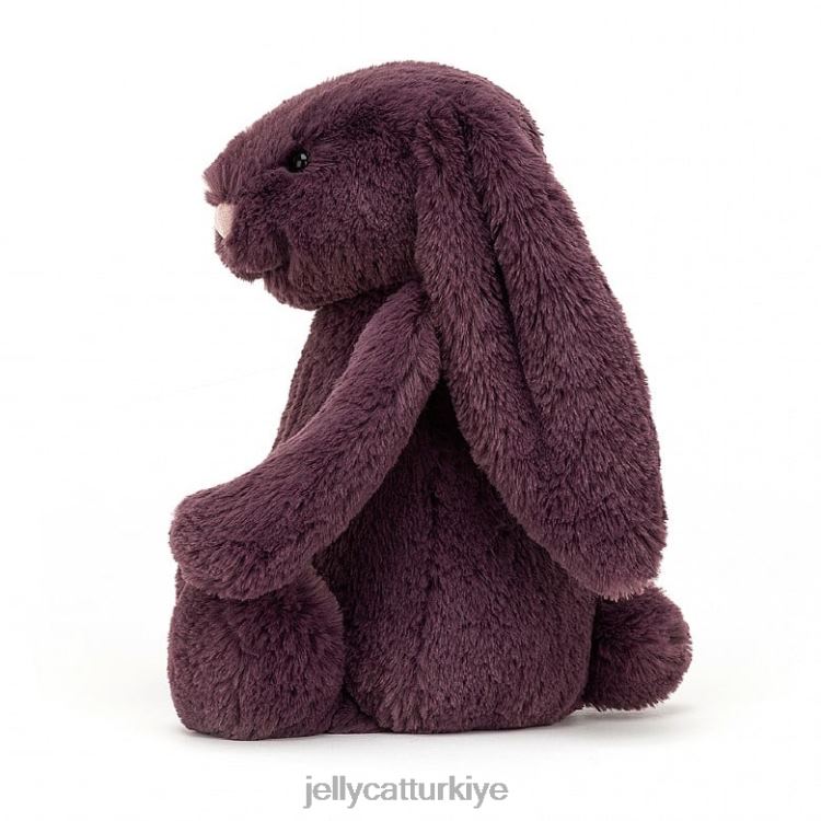 oyuncak Jellycat utangaç tavşan erik JNF4L468