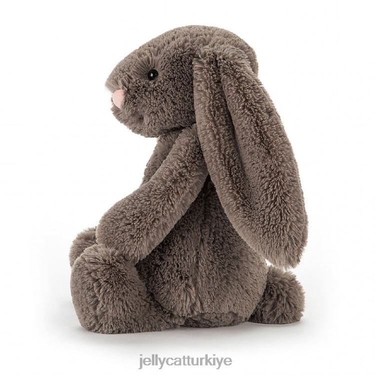 oyuncak Jellycat utangaç tavşan gümüş JNF4L207