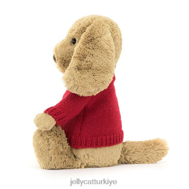 oyuncak Jellycat kişiselleştirilmiş bej kırmızı kazaklı utangaç şekerleme köpek yavrusu JNF4L158